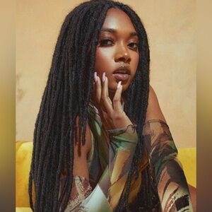 New Crochet hair BOHO Supreme Faux Locs Midnight Black 22” with layers Sold Out
